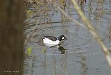 P4144086_bentn_dk