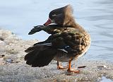 IMG_9093_bentn_dk