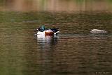 IMG_6020_bentn_dk