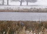 P3171565_bentn_dk