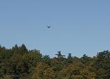 PA193706_bentn_dk