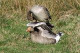 P5034841_bentn_dk