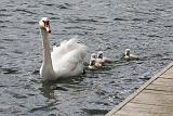 IMG_6760_bentn_dk