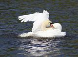 IMG_9473_bentn_dk