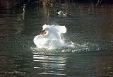 P2148524_bentn_dk