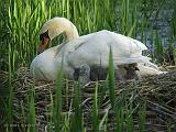 P5165508_bentn_dk
