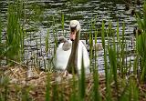 P5205554_bentn_dk