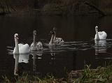 PC115965_bentn_dk