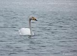 P1430485_bentn_dk