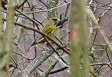 P1210552_bentn_dk