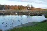 P1110226_bentn_dk