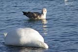P2028054_bentn_dk