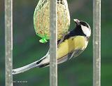 P1120262_bentn_dk