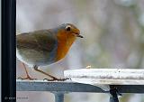 P1180356_bentn_dk