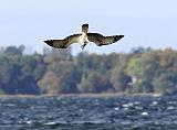 IMG_6194_bentn_dk