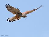 IMG_5718_bentn_dk