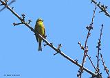 P1280674_bentn_dk
