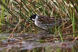 IMG_4316_bentn_dk