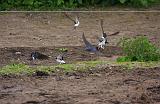 IMG_0206_bentn_dk