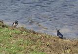 P4294757_bentn_dk