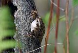 IMG_7081_bentn_dk