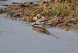 IMG_5905_bentn_dk