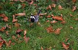 IMG_7876_bentn_dk