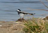 P1330920_bentn_dk