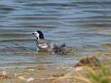 P1330942_bentn_dk
