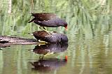 IMG_9348_bentn_dk