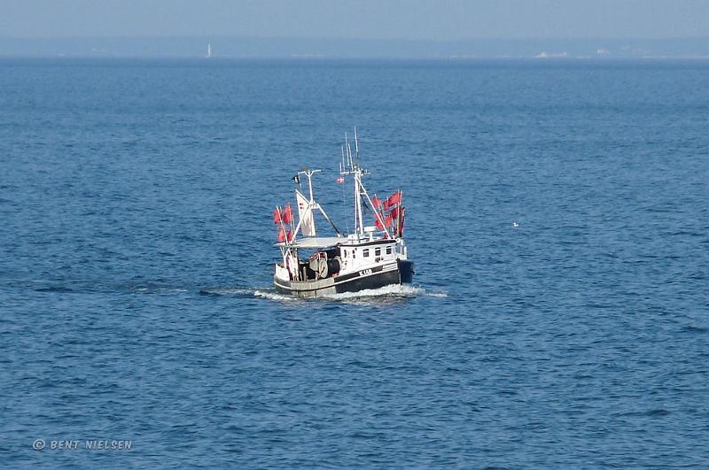 P1010026_bentn_dk.jpg - Øresund: September 2008
