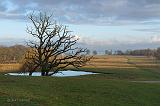 P1110122_bentn_dk