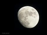 P1290221_bentn_dk
