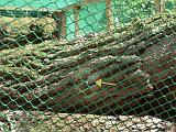 SAM_0358_bentn_dk
