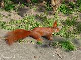 P1330034_bentn_dk