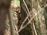 P4073580_bentn_dk