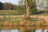 IMG_6661_bentn_dk