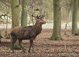 P3120936_bentn_dk