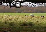 PB074650_bentn_dk