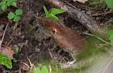 IMG_9394_bentn_dk