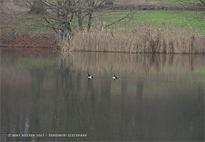 Image 13 of 20  -  101 kB