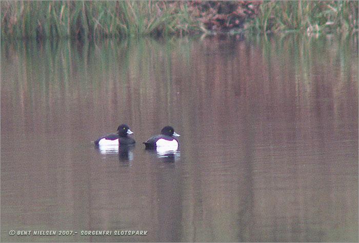 Image 14 of 20  -  84 kB