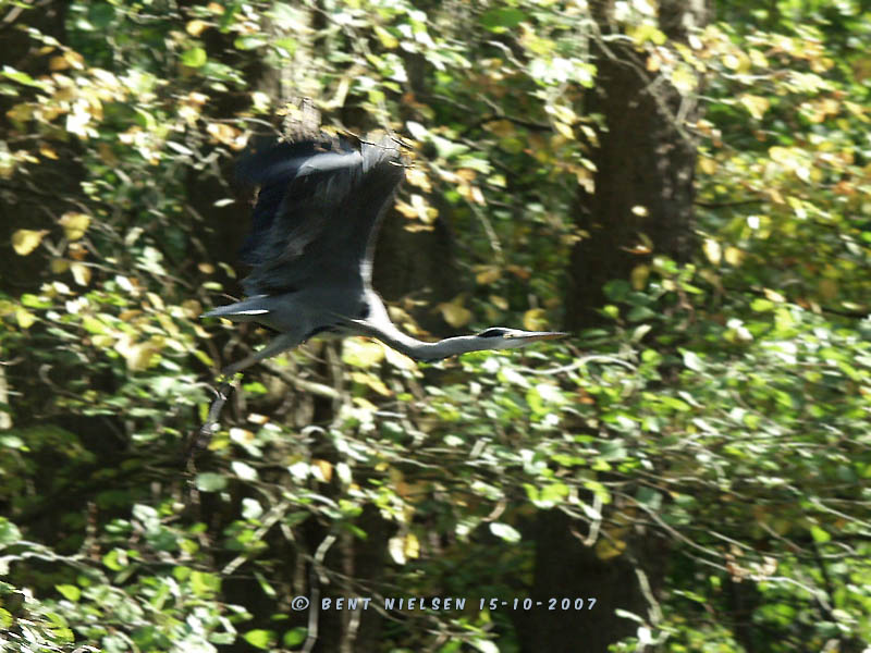 Image 2 of 24  -  117 kB
