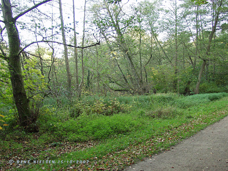 Image 23 of 24  -  200 kB